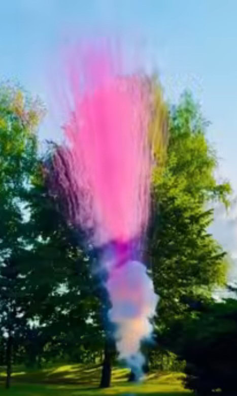 Gender Reveal Feuerwerk mit rosa Rauch-Effekt zur Enthüllung in Norddeutschland